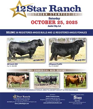 12 Star Ranch Fall sale book